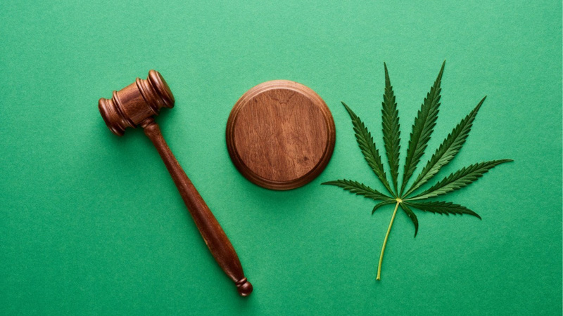 Gavel and Hemp Leaf