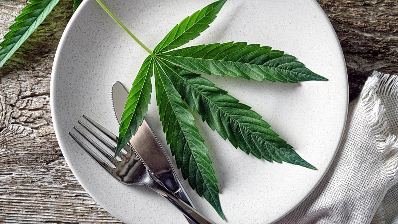 hemp leaf on a plain white plate with a knife and fork
