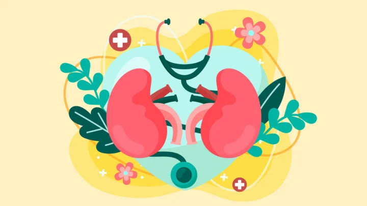 Illustration for CBD Oil for Kidney Disease