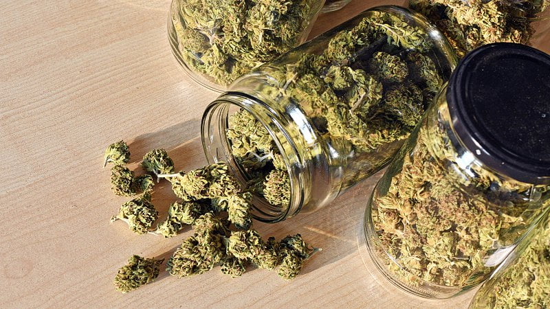Dry and trimmed cannabis buds stored in a glass jars.