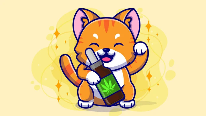 Illustration for Hemp Oil for Cats