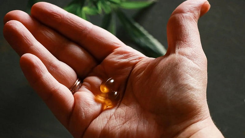 CBD capsules on a man's hand with cannabis leaves behind