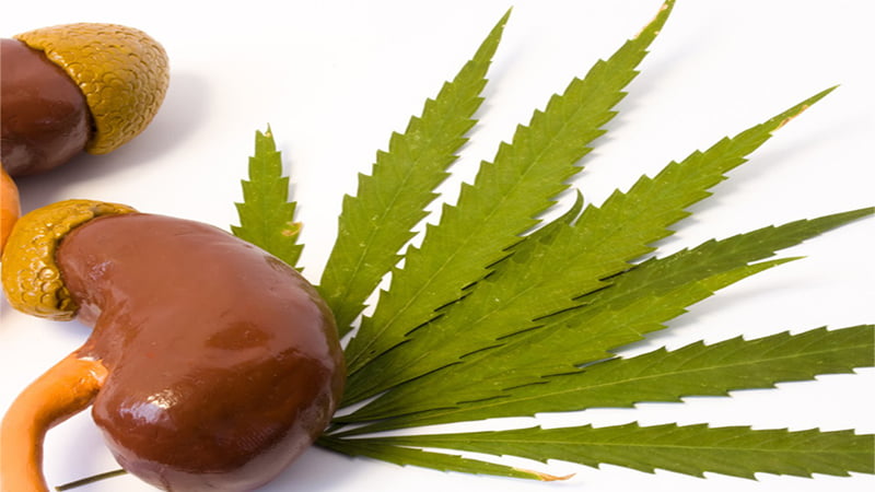 Image of Kidney and Hemp Leaf