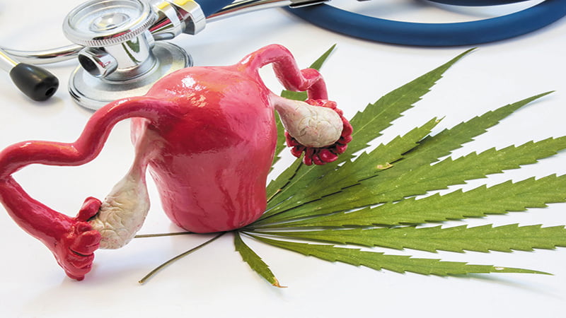 Model of Female Reproductive System over CBD Leaf and Stethoscope