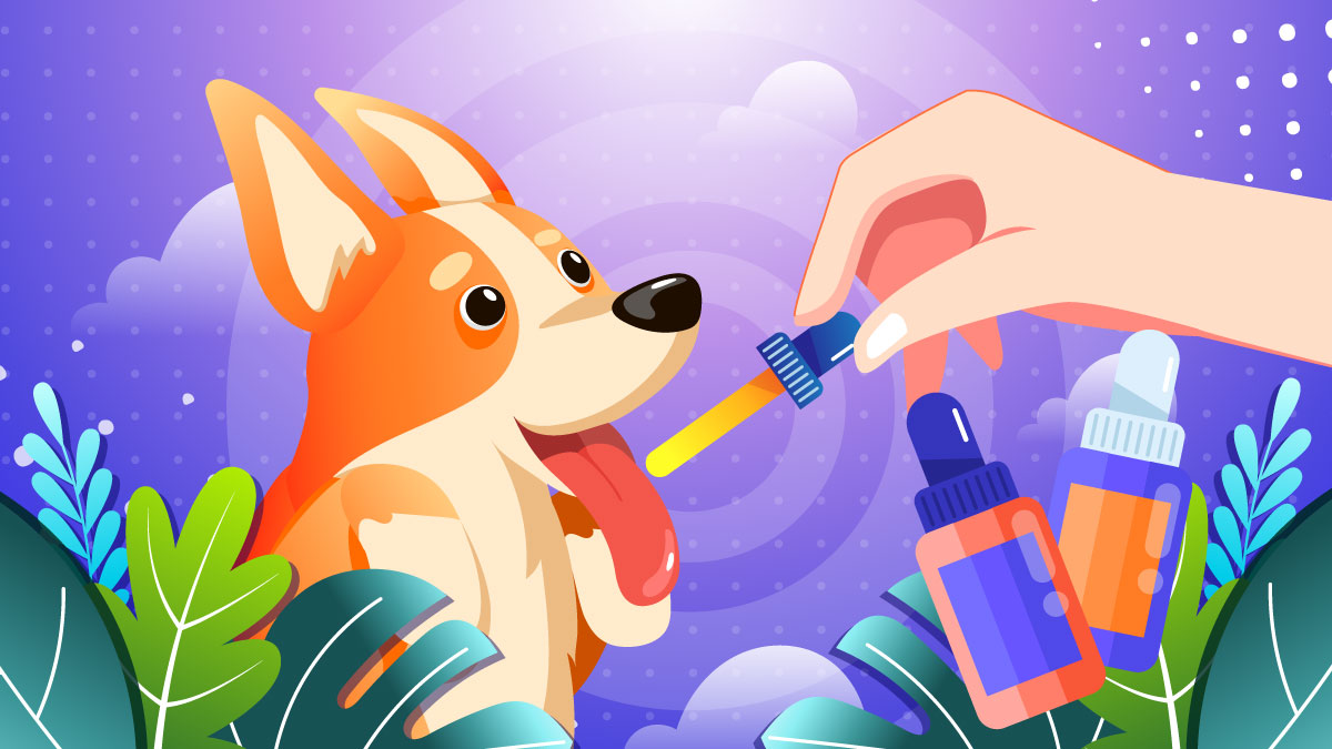 Illustration of a dog with Diabetes enjoying a drop of CBD.