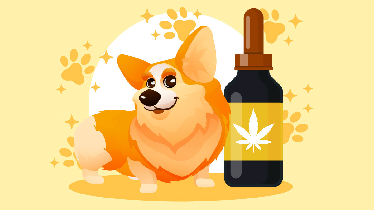 Illustration for Is THC Bad for Dogs