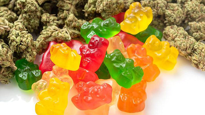 CBD Gummies and Hemp Buds