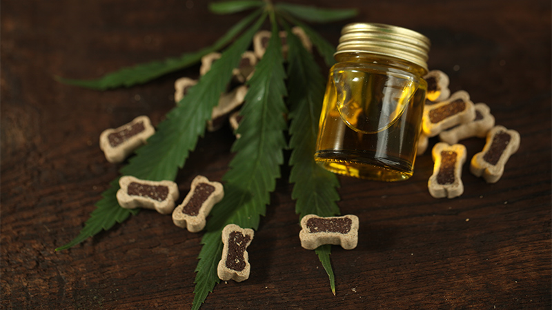 CBD Oil and Pet Foods