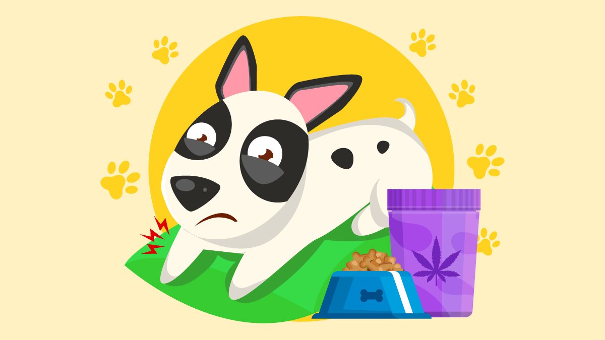 Illustration of CBD dog treats for Joint Pain
