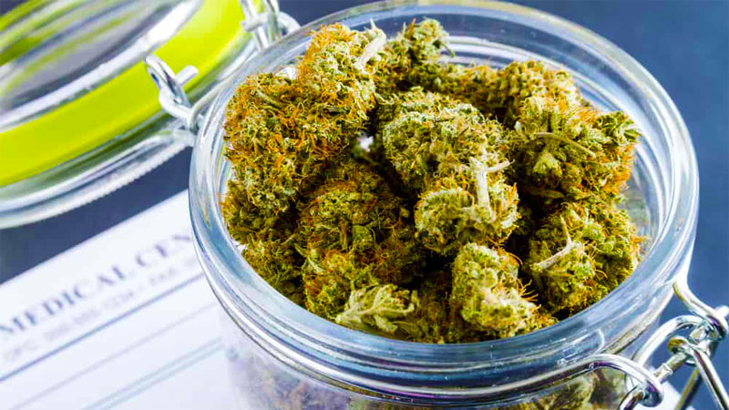 Weed Buds In a Container