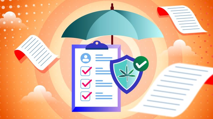 Illustration of Insurance policies, checklists, and a shield with a cannabis leaf that symbolizes protection.