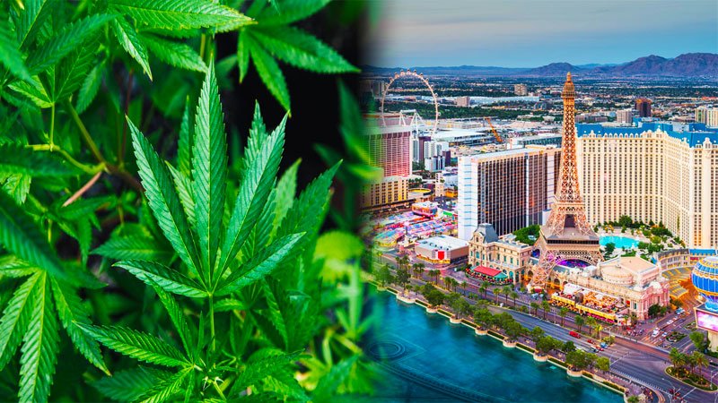Marijuana Derived CBD products in Las Vegas