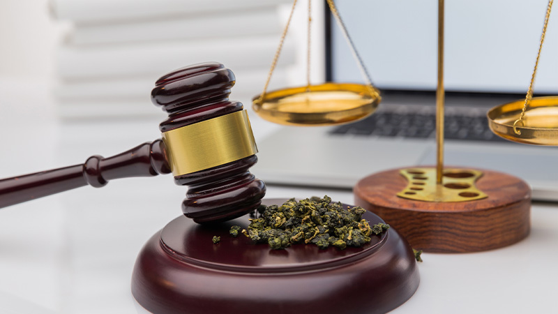 Cannabis buds on a gavel showing HHC legality