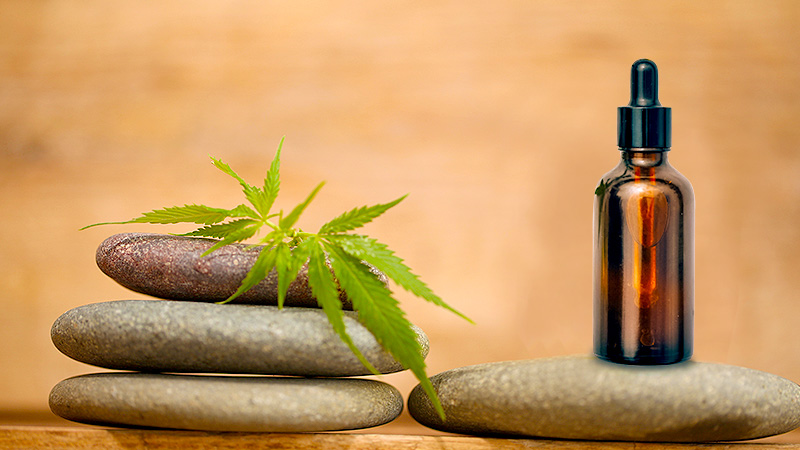 A CBD oil bottle and a marijuana leaf on top of round stones.