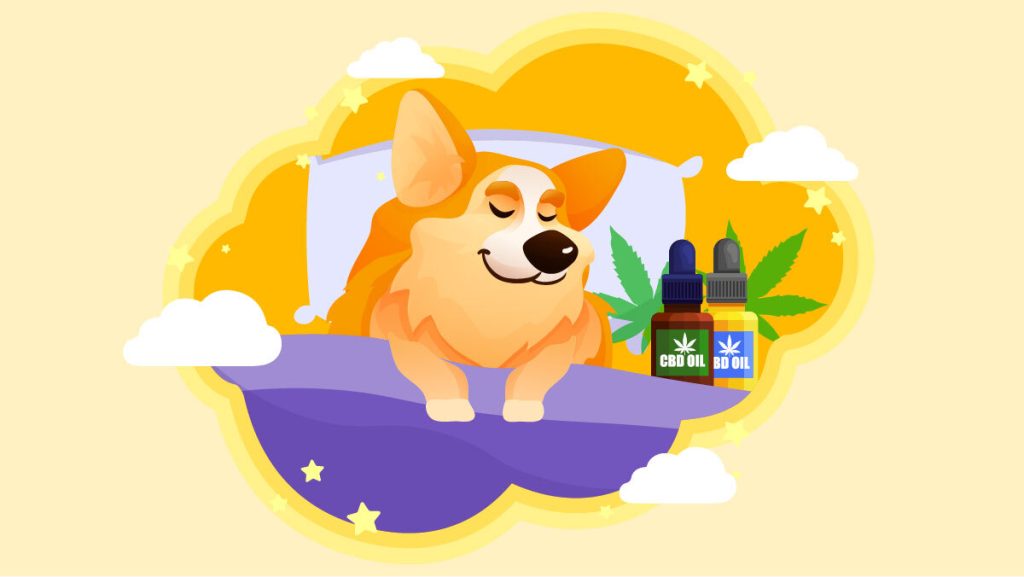 How Long Does Cbd Last In Dogs How Long Does CBD Stay In a Dog’s System?