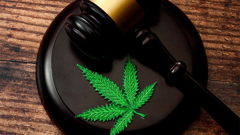 Image of gavel and weed leaf