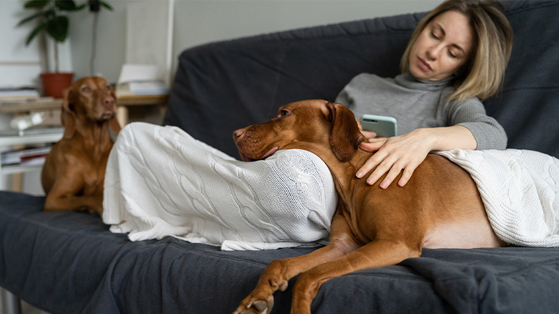 A sad woman sitting with her dogs on the couch