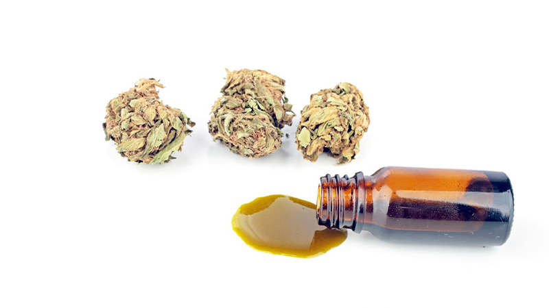 Delta 8 THC tincture and hemp buds in white background