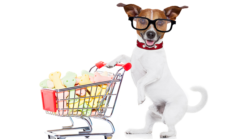 Dog holding a push cart with dog treats.