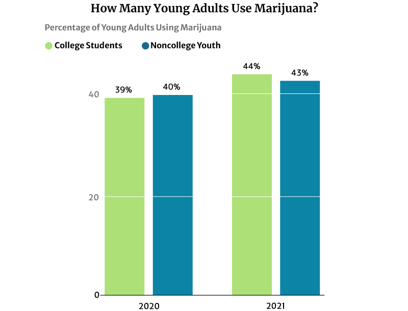bar chart of percentage of young adults using cannabis