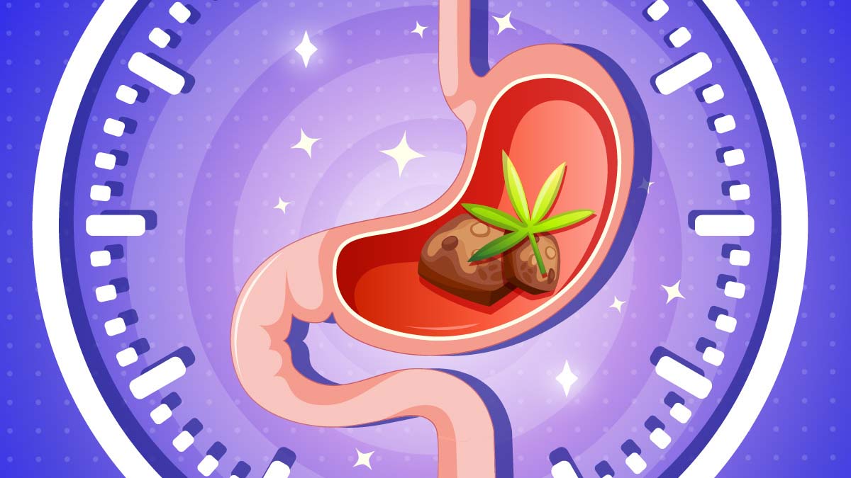edibles and leaves inside the stomach