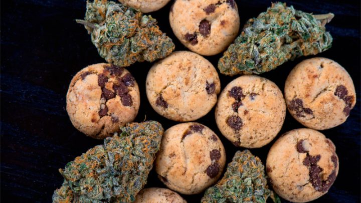 How Long Do Edibles Stay in Your System? - CFAH