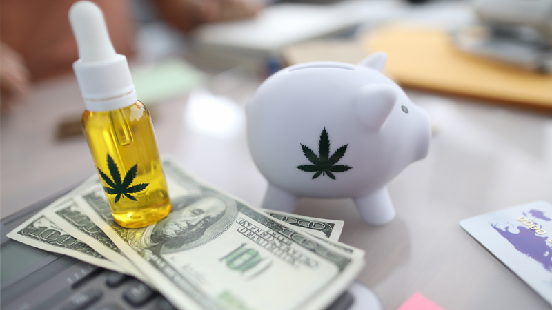 CBD oil and a piggy bank with cash