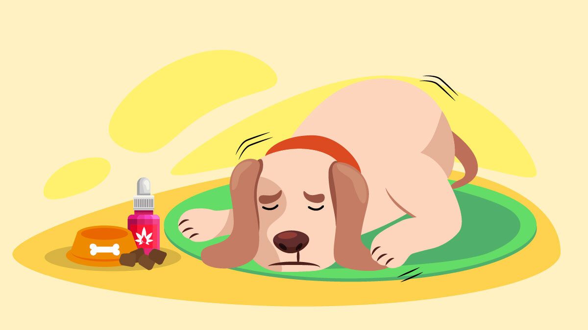 Illustration for CBD for dog seizures reviews