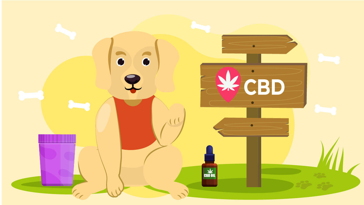 Illustration for CBD for dogs near me locations