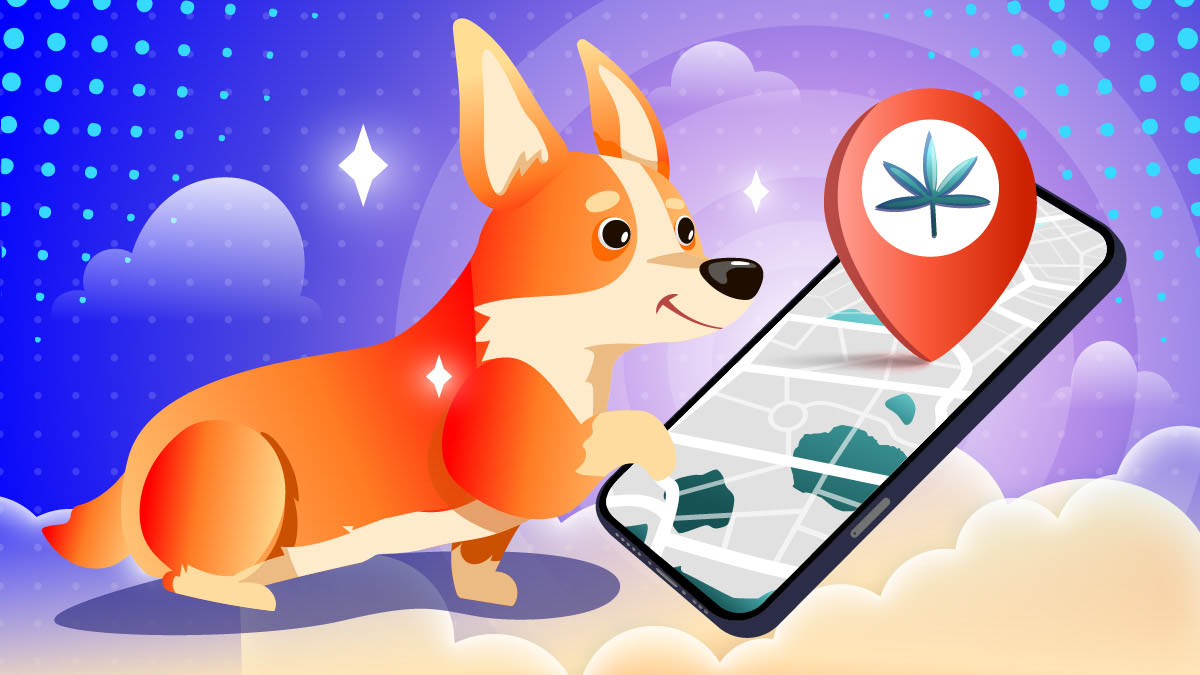 Illustration of a dog using a phone looking for CBD treats
