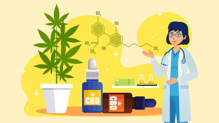 Illustration of What plant does CBD Oil come from