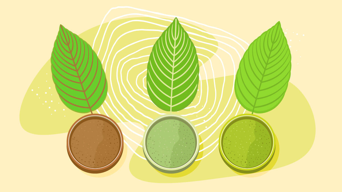 Types of Kratom The Best of Red, White, and Green Strains