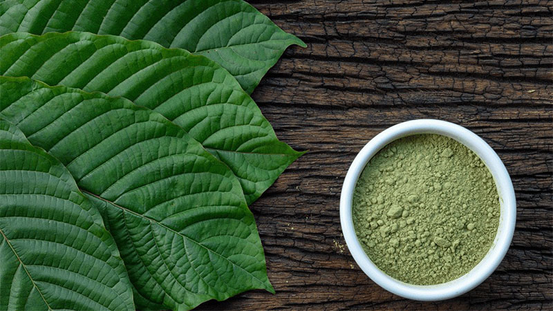 Image of Green Malay Kratom Benefits and Effects