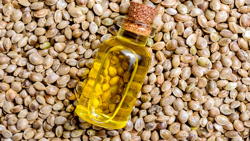Image of hemp oil in a bottle on top of hemp seeds