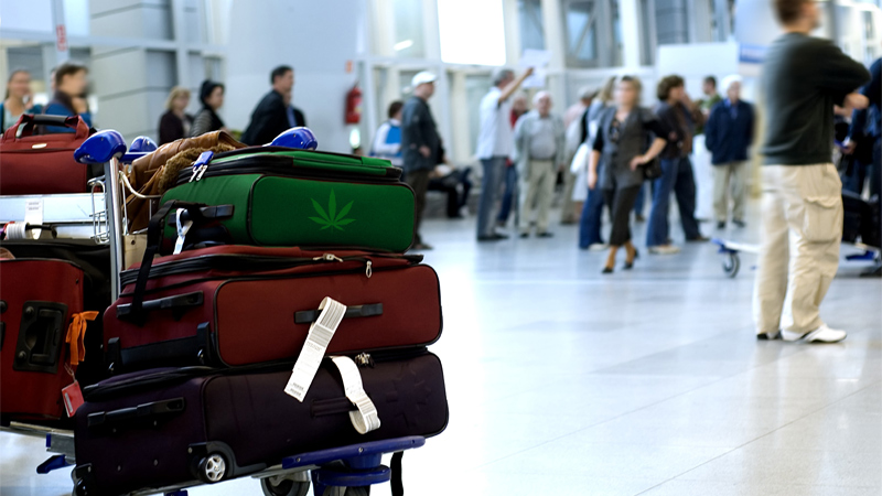 Baggage of weed in an airport lounge