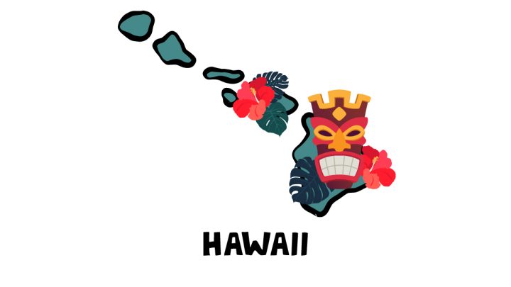 Illustration of Hawaii Tiki masks and Hibiscus flower