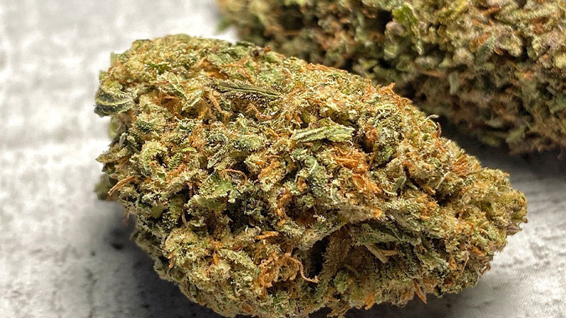 Image of marijuana buds on the table