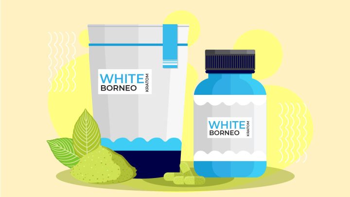Illustration for Health Benefits of White Borneo Kratom