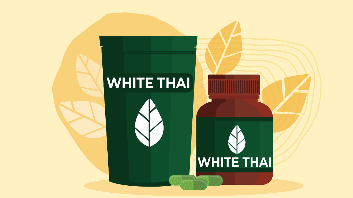 Illustration for Things to Know About White Thai Kratom