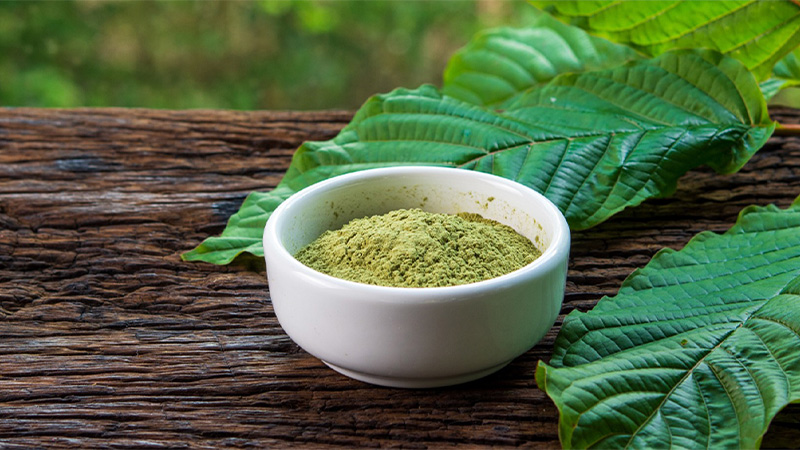 White Thai Kratom powder in a bowl with Kratom leaves