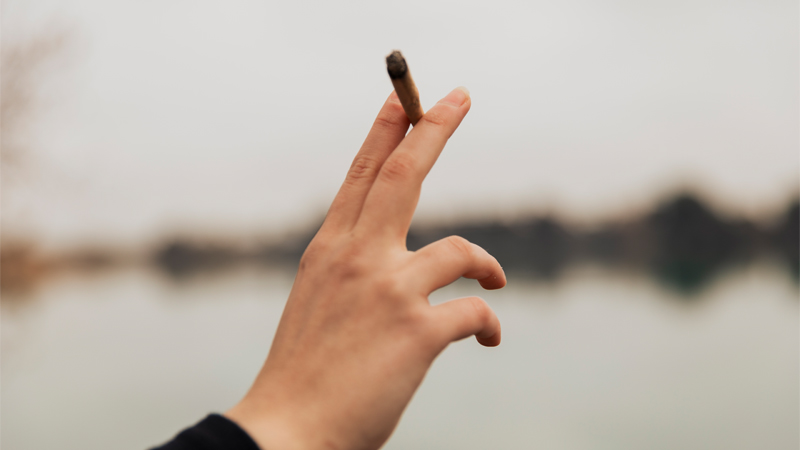 Holding a marijuana cigar