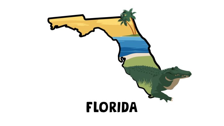 Illustration of Miami beach in Florida with Alligator