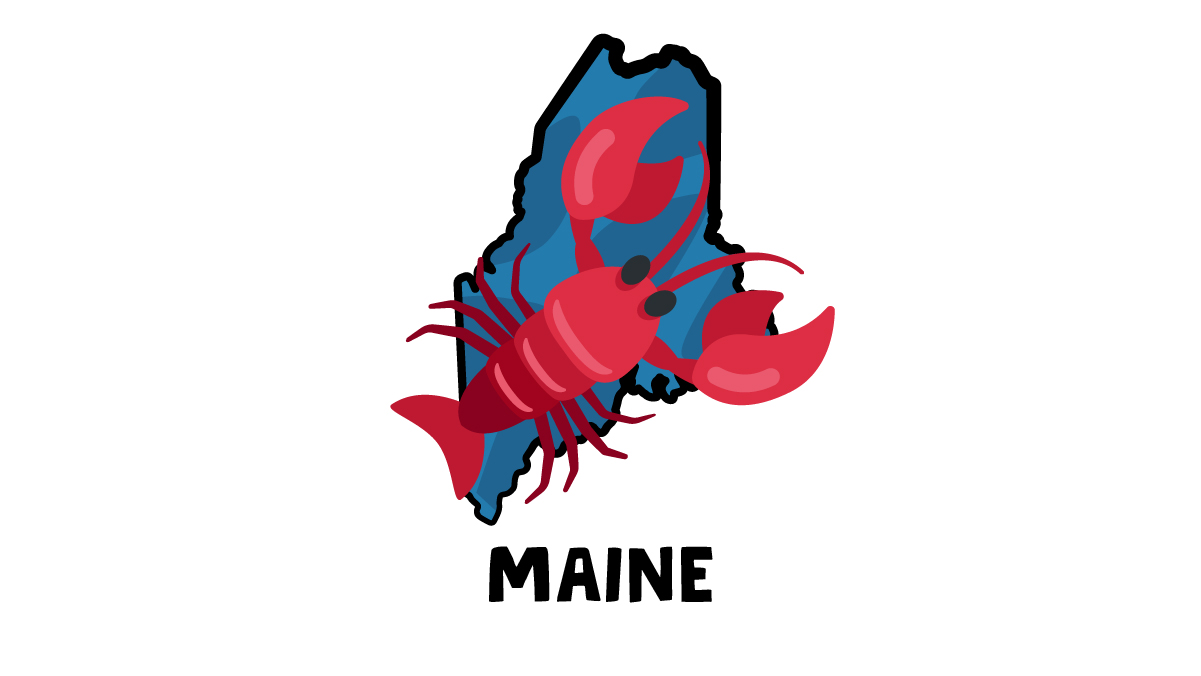 Illustration of a big red Maine lobster