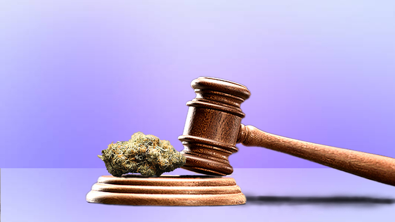 A Cannabis Flower is placed next to a gavel and block.