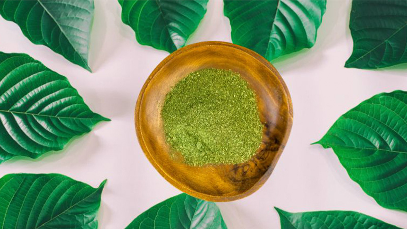 A bowl of Kratom powder surrounded with Kratom leaves