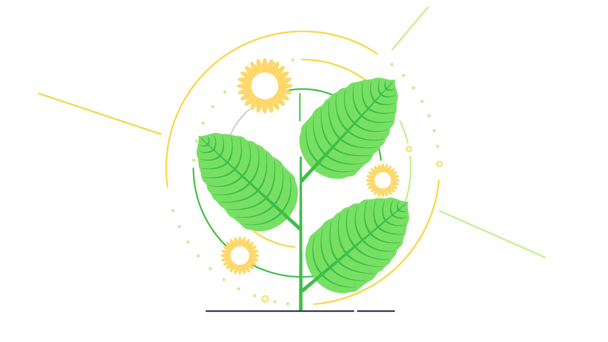 Illustration of Kratom plant with decorative elements.