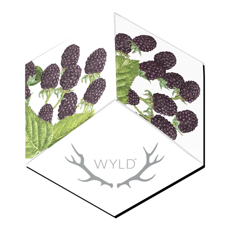Wyld Cannabis Marionberry Gummies Product Image