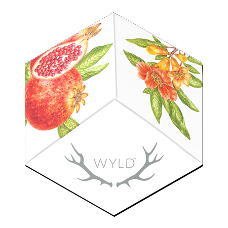Image of Wyld Pomegranate Hybrid Gummies