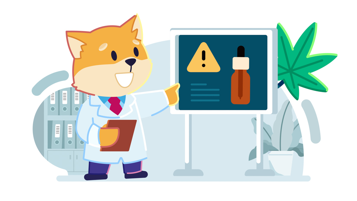 illustration of a doctor dog teaching about CBD