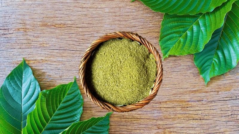 Kratom powder in a bowl with leaves on the corners